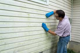 Best Siding Removal and Disposal  in Maggie Valley, NC